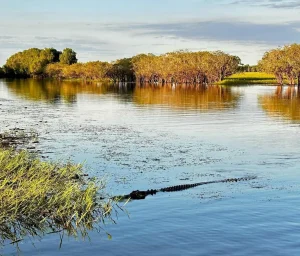 Wet Season in Kakadu National Park
