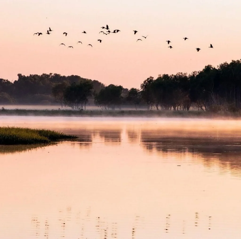 Yellow Water Billabong