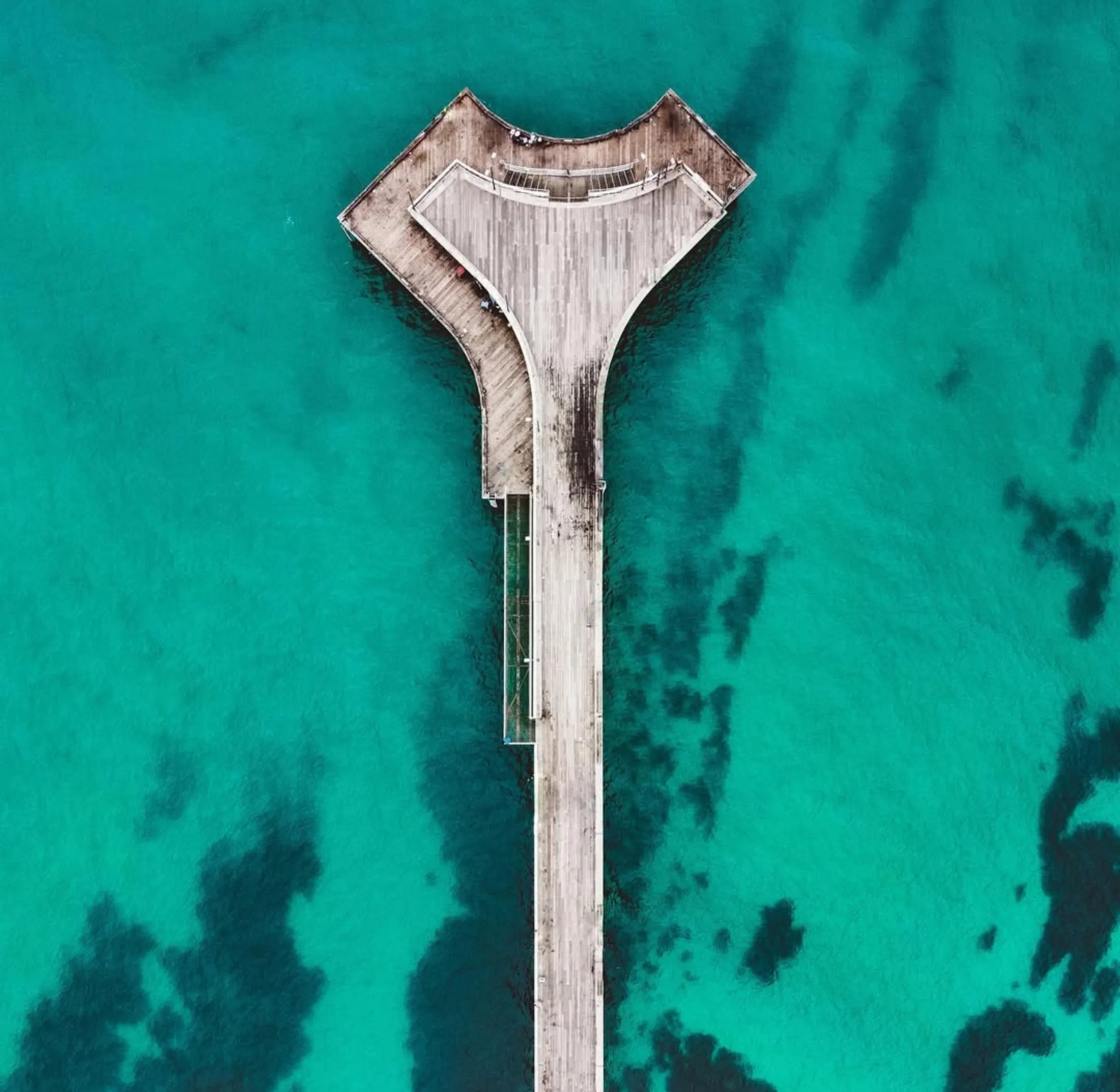marine biodiversity
