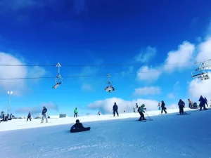 Snowy Adventures