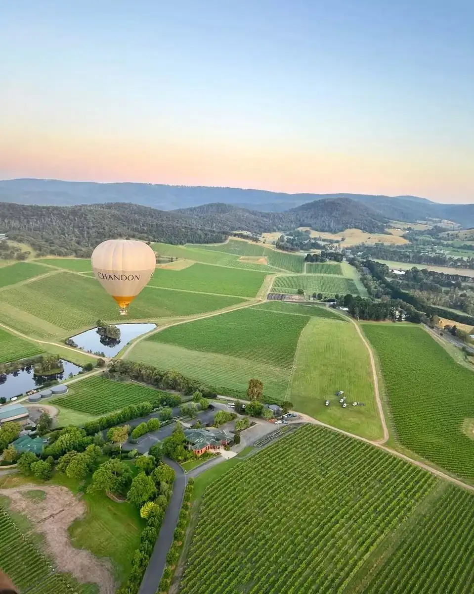 More Than Wine, Other Easy Car-Free Experiences