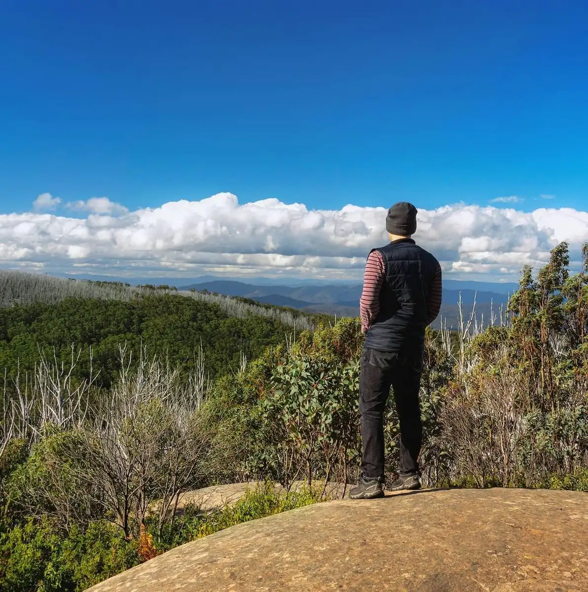 Scenic Roads You’ll Miss — And Why That’s Okay
