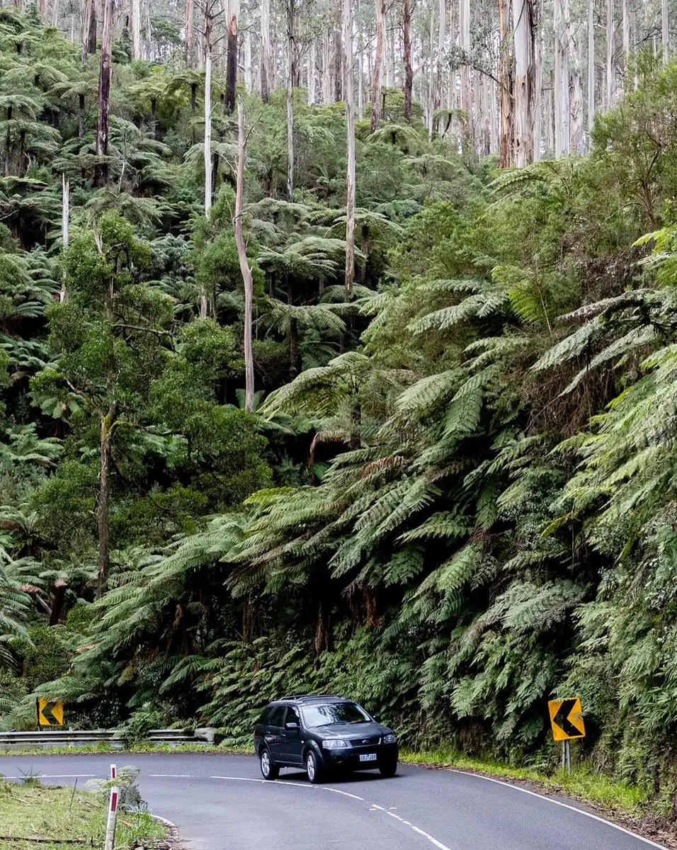 Why Not Driving Can Actually Improve The Experience