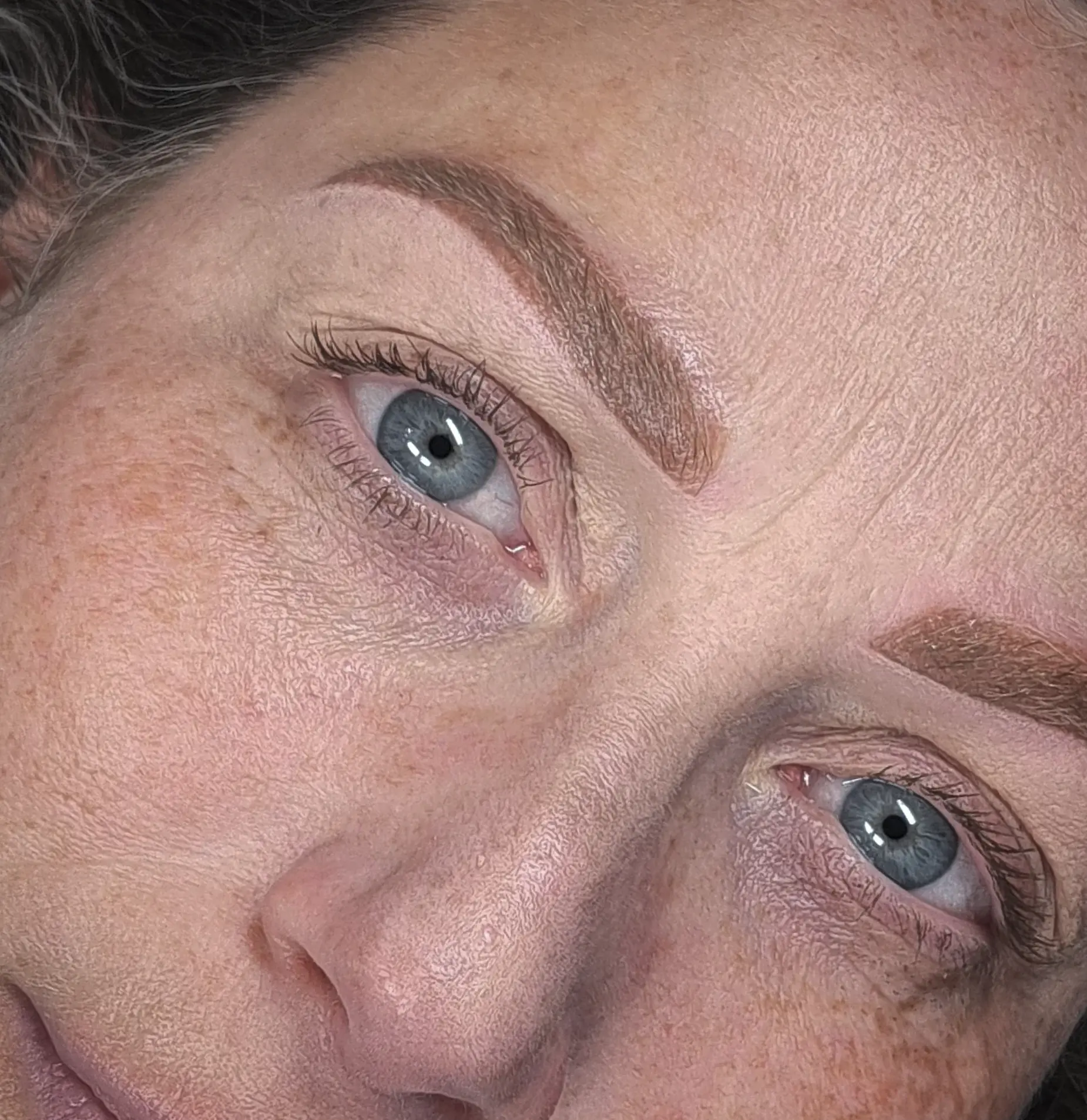 powder brows inner north brisbane