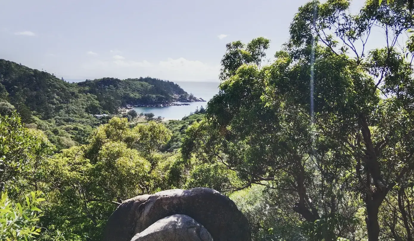 koala holding in queensland 2026
