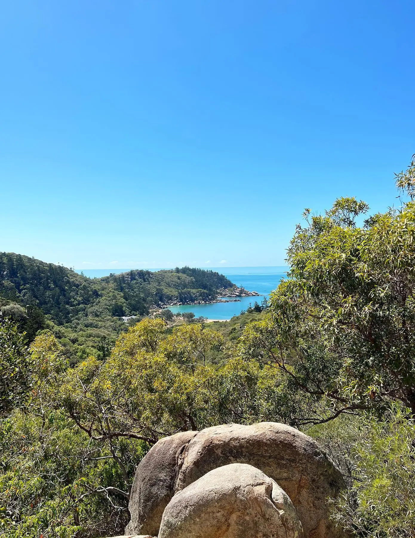 koala sanctuaries in australia 2026